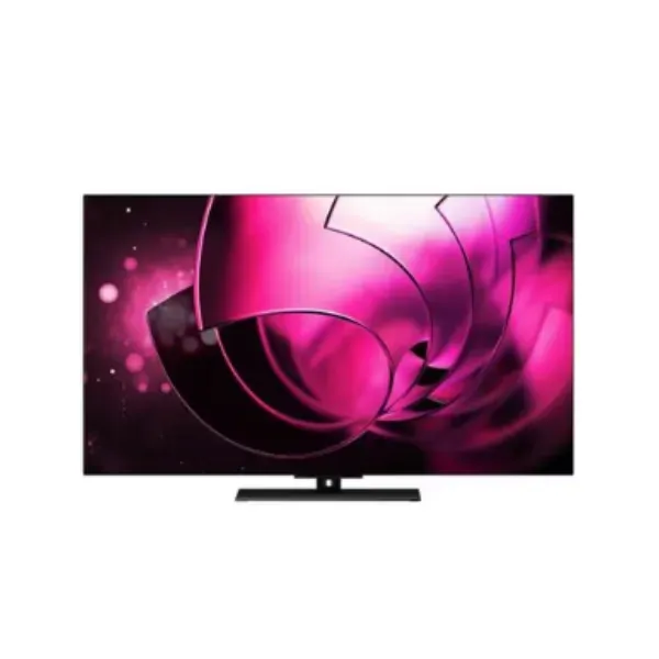 レグザ 48X8900R 48V型 有機ELテレビ X8900Rシリーズ